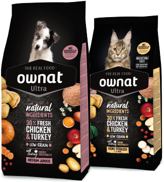 Classic - Chiens et Chats
